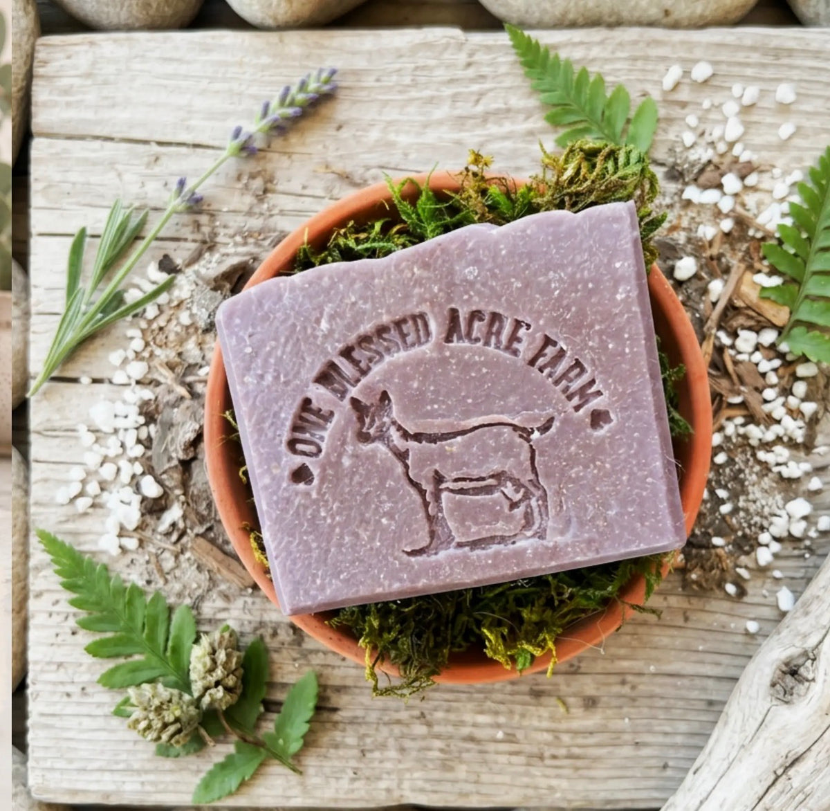 Fig Ginger Goats Milk Soap