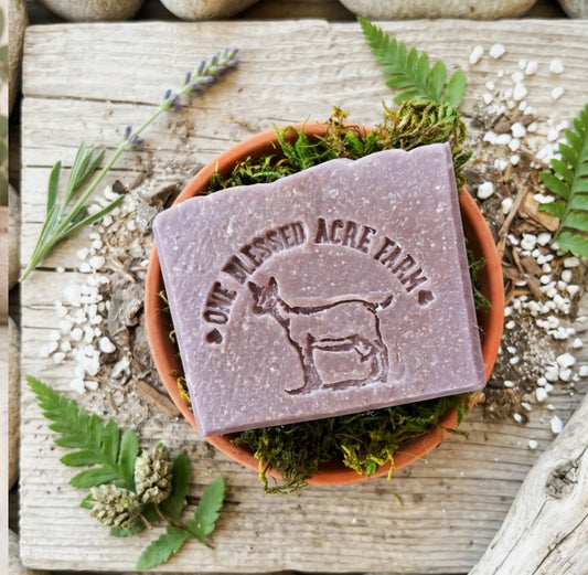 Fig Ginger Goats Milk Soap