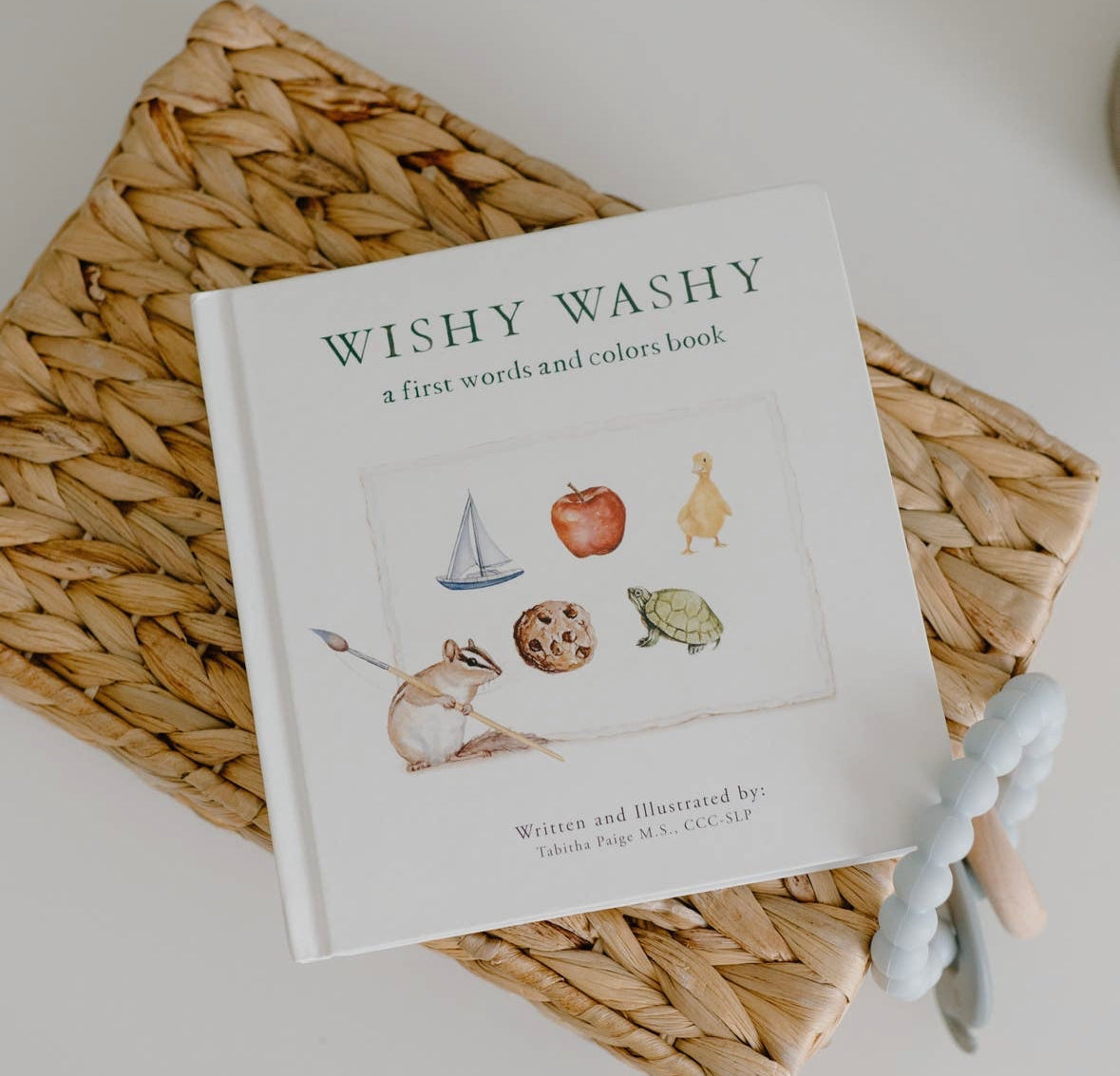 Wishy Washy Baby Book